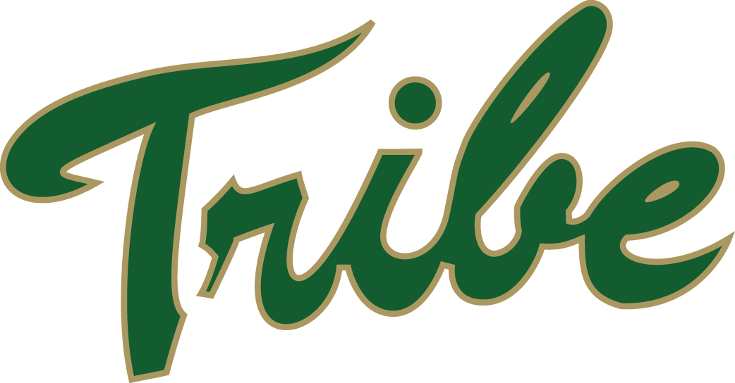 William and Mary Tribe iron ons